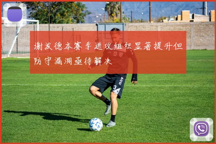 谢泼德本赛季进攻组织显著提升但防守漏洞亟待解决